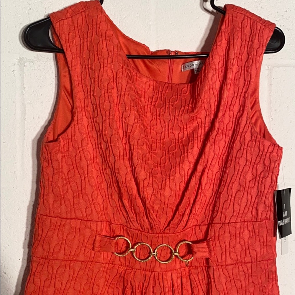 Sandra Darren NWT orange crinkle knit dress - Picture 4 of 6